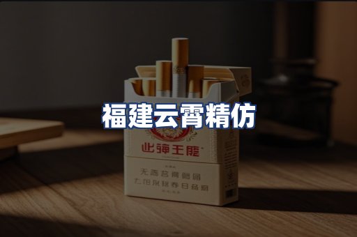 福建云霄精仿